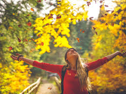 All structured data from the file and property namespaces is available under the creative commons cc0 license; Bienvenido Otono Santo Tomas En Linea