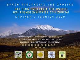 Σύμφωνα με το mega έχουν καεί πέντε σπίτια από την μεγάλη φωτιά στη ζήρια, ενώ έχει σταλεί μήνυμα από το 112 προς τους κατοίκους στα ζήρια, το λαμπήρι και τις καμάρες καλώντας τους να κατευθυνθούν προς το. Nai Sthn Prostasia Ths Fyshs Oxi Stis Anemogennhtries Sth Zhreia Tetarto