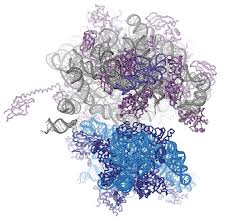 MACROLAB TO REVEAL THE INNER WORKINGS OF PROTEINS NEW PROFS BRING NEW  TALENTS