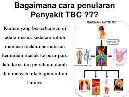 Seseorang yang sering bertemu dengan penderita tuberkulosis memiliki risiko yang sangat besar untuk tertular penyakit tersebut. Lamp Materi Penyuluhan Tb