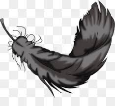The creations assume a 2d life, traveling along walls, or even coming into 3d reality. Devil Tail Png Free Download Feather Devil Tail Png