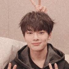 Pin on aesthetic anime matching icons. Aesthetic Kpop Pfp Skz Novocom Top