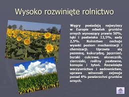 Węgry posiadają około 1500 punktów odnowy biologicznej ze względu na jeden z największych w europie zasobów źródeł termalnych. Wegry Karolina Kaluzna Klasa 1 B Ppt Pobierz