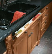 Tilt Out Sink Tray To Hide Your Sponges And Other Cleaning Pieces One Of My All Time Fa Kitchen Cabinet Accessories Cabinet Accessories Ikea Drawer Organizer