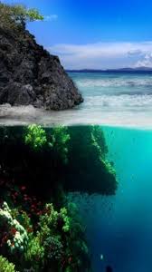 See more beautiful nature wallpaper, awesome nature wallpapers, pretty nature wallpaper looking for the best nature wallpaper? Best Nature Wallpapers Wallpapers Free Best Nature Wallpapers Wallpaper Download Wallpapertip