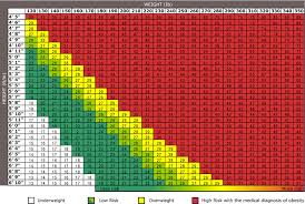 Bmi Chart