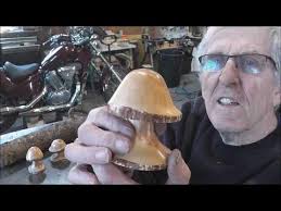 Uploads from Brian Procter