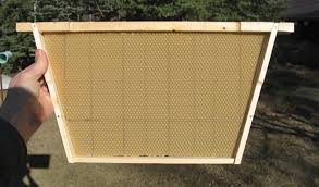 Long langstroth hive this hive is desgined to have all the positive qualities of a top bar hive and none of the drawbacks and also to have the advantages of standard equipment which makes the frames transferable from a traditional langstroth deep or nucleus hive. Experiences With A Top Bar Hive Bee Culture