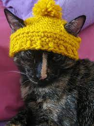 I Recently Found This Amazing Post With A Pattern For A Cat Beanie And I Naturally Thought It Was The Cat Hat Pattern Crochet Cat Hat Crochet Cat Hat Pattern
