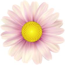 Pink Daisy Clip Art Image Clip Art Art Images Pink Daisy