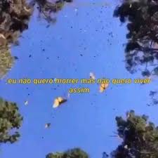 Birds And The Bees Lyrics Idk Pin De Lullwana Core Aesthetics Em Videos De Musicas Video Em 2020 Frases De Musicas Rap Video De Musicas Citacoes De Musicas