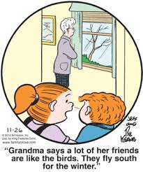Why Do Birds Fly South For The Winter Joke Pin On Family Circus