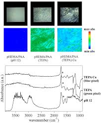 pH-Responsive Semi-Interpenetrated Polymer Networks of pHEMA/PAA for the  Capture of Copper Ions and Corrosion Removal | ACS Applied Materials &  Interfaces
