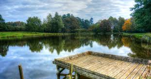 The kompost can be of great assistance. Small Waters Big Fish Tackling Ponds Small Lakes And Reservoirs