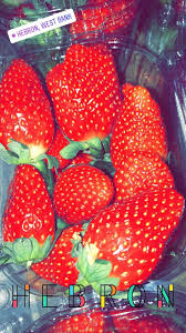 pin by منتصر العويوي on صور fruit strawberry food