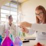 Paraná and Mato Grosso do Sul Expand State Awards Recognizing Scientific Excellence