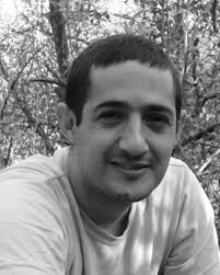 The Longitudinal Use of SaNDVis: Visual Social Network Analytics in the  Enterprise