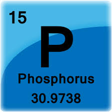Element Cell For Phosphorus Periodic Table Periodic Elements Phosphorus Element