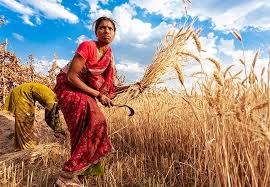 Maybe you would like to learn more about one of these? Agriculture Teri