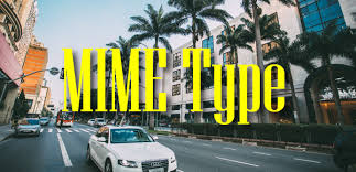 Lalu take picture dengan fokus. Mime Type Yellowweb Id