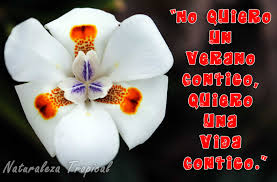 Check spelling or type a new query. Frases Y Postales Para Dedicar Este 14 De Febrero