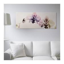 Ikea Us Furniture And Home Furnishings Ikea Wall Decor Ikea Orchids Ikea Australia