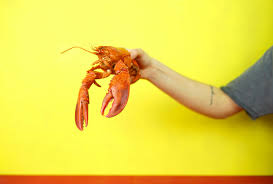 Alimentation Bebe Et Fruits De Mer Tout Ce Qu Il Faut Savoir