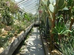 Get details of location, timings and contact. Sukkulenten Gewachshaus 2 Picture Of Botanischer Garten Erlangen Tripadvisor