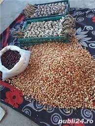Targ cu cai de tractiune cai grei de rasa solca, bucovina 2018 подробнее. Usturoi Si Arpagic Romanesc Adroa Food