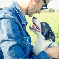 Healserv connects you with the best pet doctor and pet clinic near me for pet cares. Jacksonville Community Pet Clinics Veterinarians