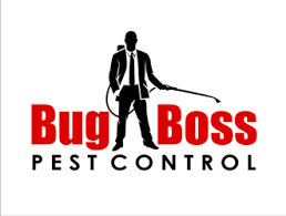 Local pest control near you. Bug Boss Pest Control Logo Design 48hourslogo