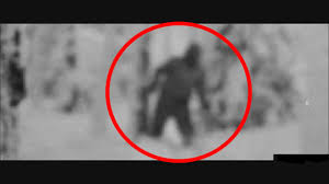 Image result for Dyatlov Pass incident