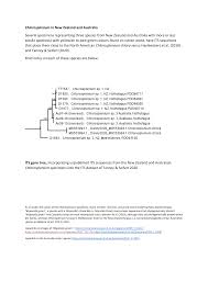 Image result for Chlorosplenium chlora