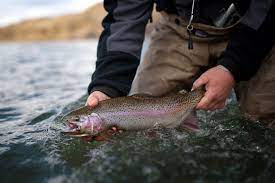 Caught ovgard | virgin sacrifice yields good fishing in zion. Fishing In Bryce Canyon Canyon Trail Rides