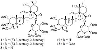 Image result for Combretum psidioides