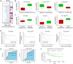 La bloc, cel mai bun sitcom romanesc, este construit in jurul a doua personaje a caror existenta este centrata in jurul spatiului in care locuiesc, nelu curca si costel jurca, taximetrist respectiv gestionar. Bmpr2 Expression Level Is Correlated With Low Immune Infiltration And Predicts Metastasis And Poor Survival In Osteosarcoma