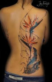 Realistic Bird Of Paradise Flower Tattoo Pin By Jenny Harshbarger On Tattoo Watercolor Bird Tattoo Paradise Tattoo Watercolor Tattoo Flower