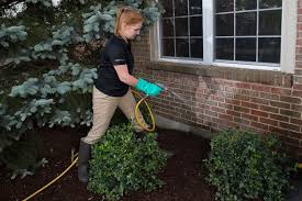 Diy approach will be less expensive than hiring a pest control company you just have to wander from one store to another, purchase of chemicals, and then apply or spray it on the infected area. Hiring A Pro Vs Diy Pest Control Your Best Move For Keeping Bugs Out Of Your House