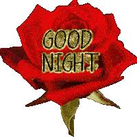 We did not find results for: Good Night Gifs Tenor