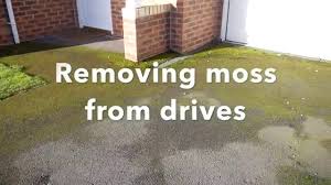 Thumbtack™ finds you high quality asphalt experts & lets you book them instantly. How To Remove Moss On Drives And Patios With Natural Products And Minima Moss Removal Tarmac Drives Patios