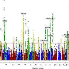 Die kandidaten emanuel und sigi. Michael Bauer S Research Works Universitatsklinikum Carl Gustav Carus Dresden Dresden And Other Places