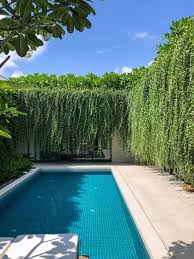 Hanging Gardens Create A Private Oasis For These Modern Villas Pool Landscape Design Garden Architecture Pool Landscaping