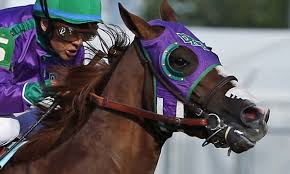 California Chrome Will Be Allowed Nasal Strip At Belmont
