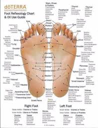 Hand And Foot Pressure Points Chart Www Bedowntowndaytona Com