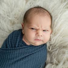 28 Jul 25. Grumpy doing his happy dance after securing breakfast.