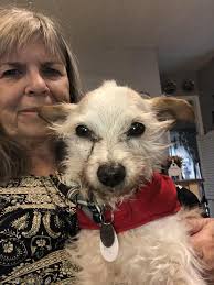 Dog with end stage kidney disease doing well