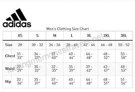 Com Adidas Mens Essentials 3 Stripe Wind Pants Sports