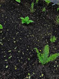 Check spelling or type a new query. Sweet Peet Best Mulch On Earth Coastal Roots