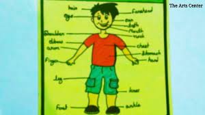 The neck isn't only a visually appealing woman's body part. How To Draw Parts Of Body For Kids External Body Part Drawing For Project By The Arts Center Youtube