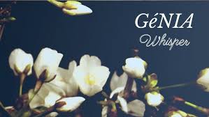 Image result for magnolia genia